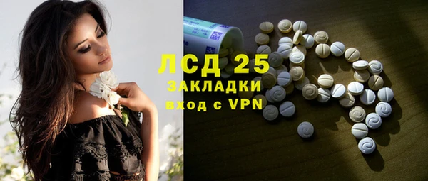 стафф Касимов