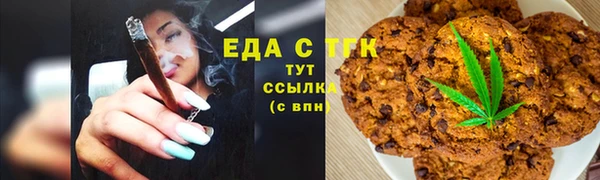 стафф Касимов