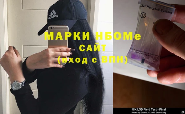 стафф Касимов