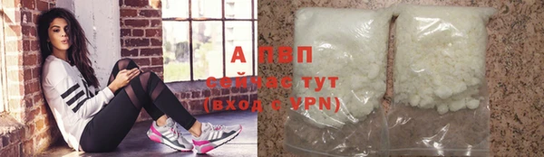 стафф Касимов