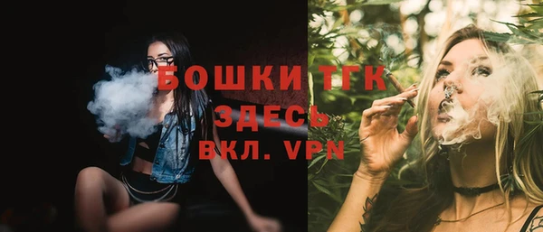 стафф Касимов