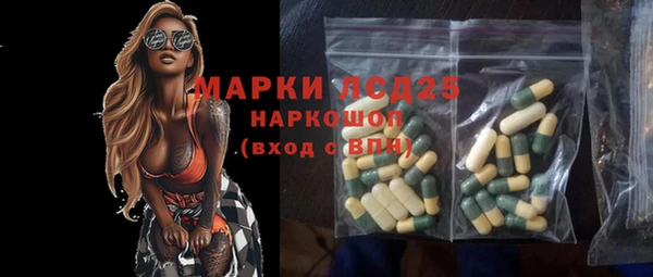 стафф Касимов