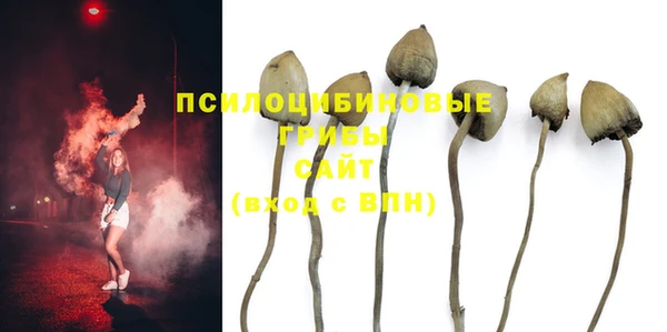 круглые Карталы
