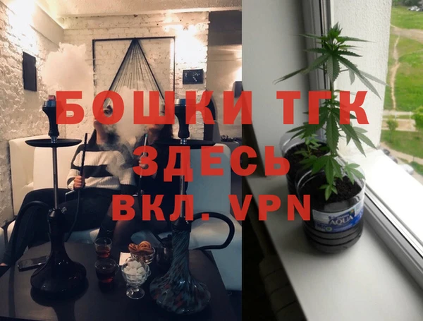стафф Касимов
