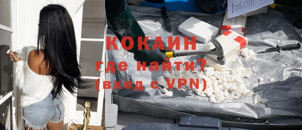 стафф Касимов