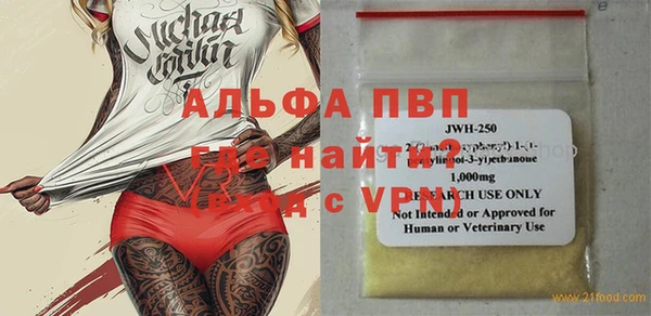 стафф Касимов