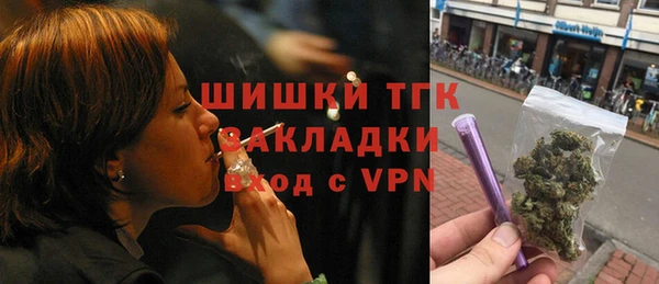 стафф Касимов