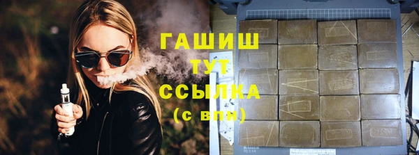 стафф Касимов