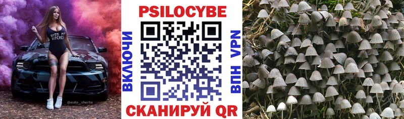 Галлюциногенные грибы Psilocybe  Сурск 